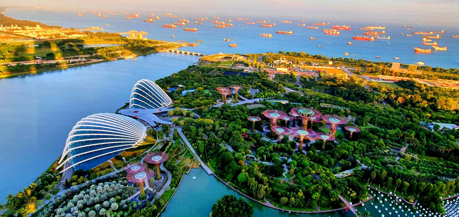 What to Do on Your Trip to Singapore: The Guide to the Lion City